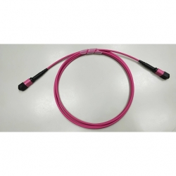 12C MPO OM4 Magenta Cable